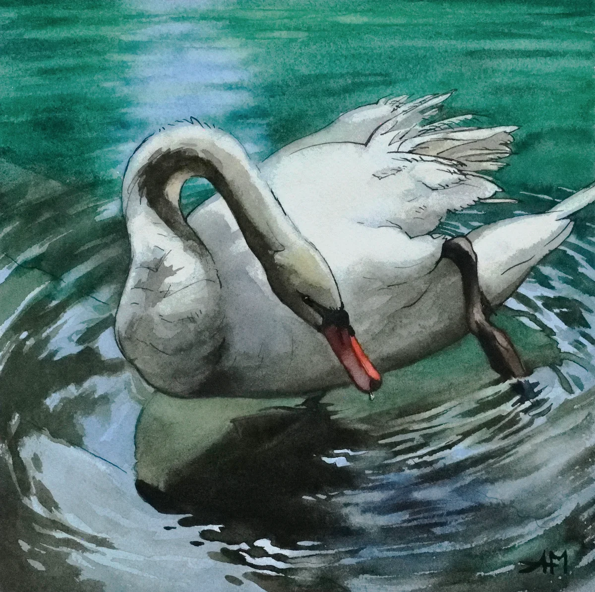 Cygne sortant de l'eau au bord d'un canal en ville