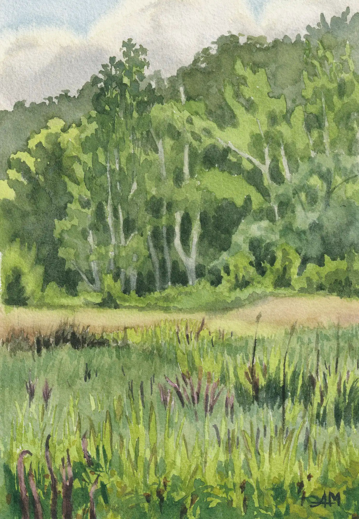 Des marais asséchés en fleurs en été, et au fond : une forêt de bouleaux, trembles, et chênes