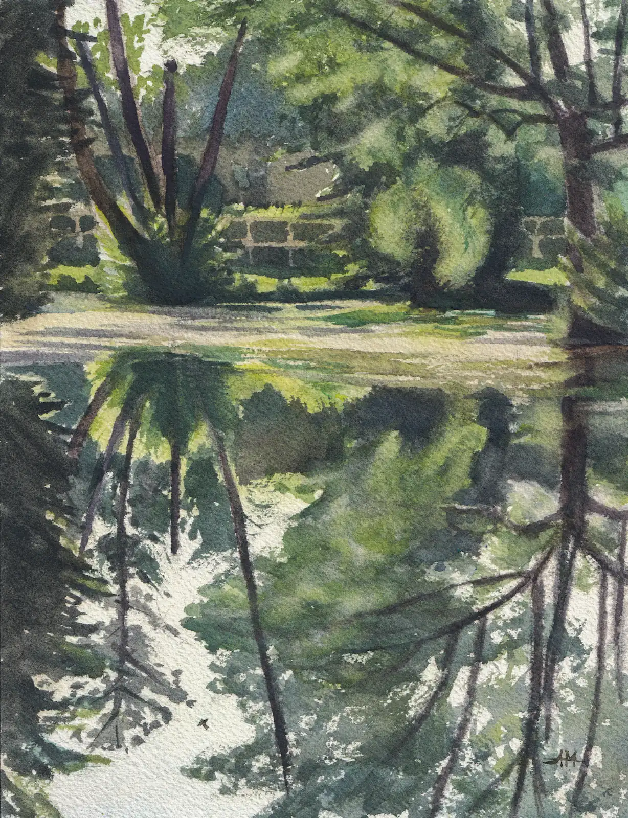 Rivière calme au lever du soleil avec des reflets d'arbres dans l'eau