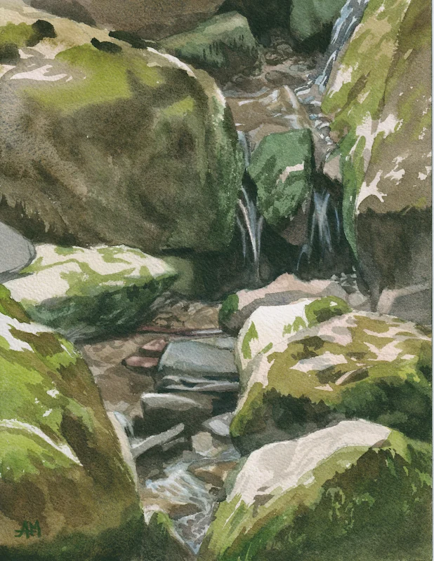 Les rochers avec des mousses dans le lit d'une rivière presque à sec en été, un mince filet d'eau se glisse entre les gros rochers