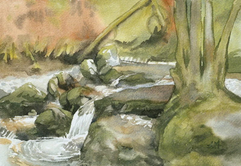 Une rivière dont les rochers sont couverts de mousse, ainsi que les pieds des arbres. Rivère dans une combe de montagne