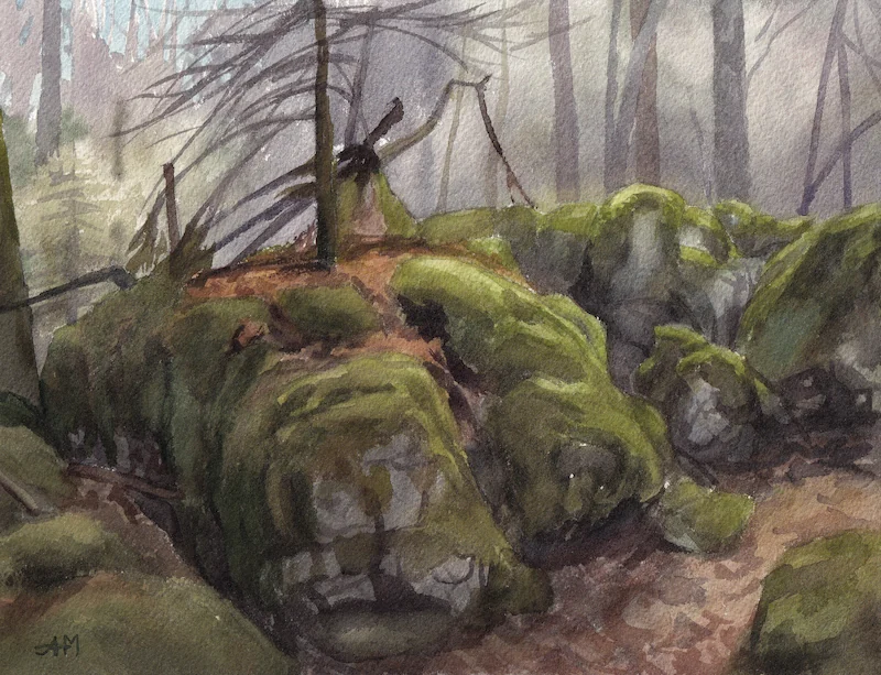 Les rochers d'un glacier très ancien, dans une forêt hivernale de montagne