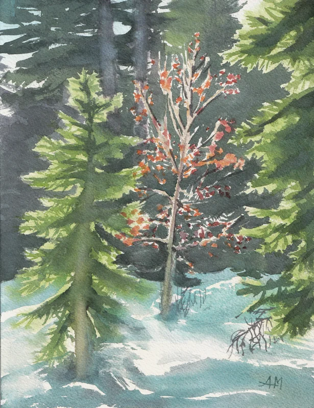 Un sorbier des oiseleurs, avec ses baies rouges, au milieu des épicéas d'une forêt de montagne. Ses baies rouges sont flamboyantes dans la sombre forêt enneigée