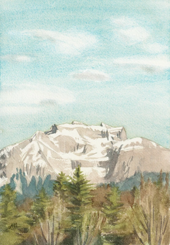 Vue sur la Tournette depuis le mont Semnoz avec une forêt hivernale au premier plan. La neige persiste encore sur la montagne au sortir de l'hiver