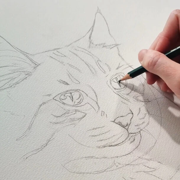 Dessin préparatoire