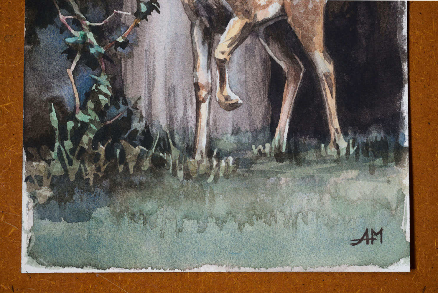 Un faon surpris détail 2 Photo de l'oeuvvre "Un faon surpris". Peinture à l'aquarelle. Vue du détail des pattes.
