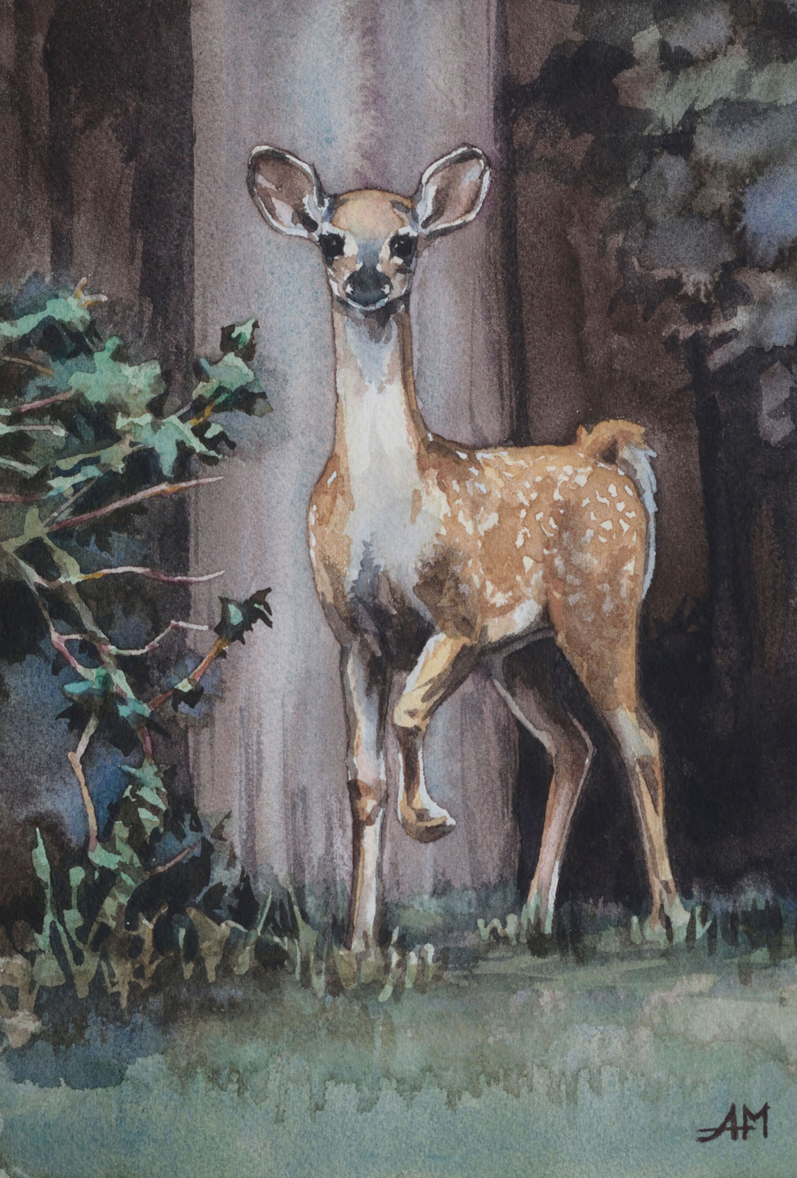 Un faon surpris / 16 X 25 cm / 2021 Photo de l'oeuvvre "Un faon surpris". Peinture à l'aquarelle.