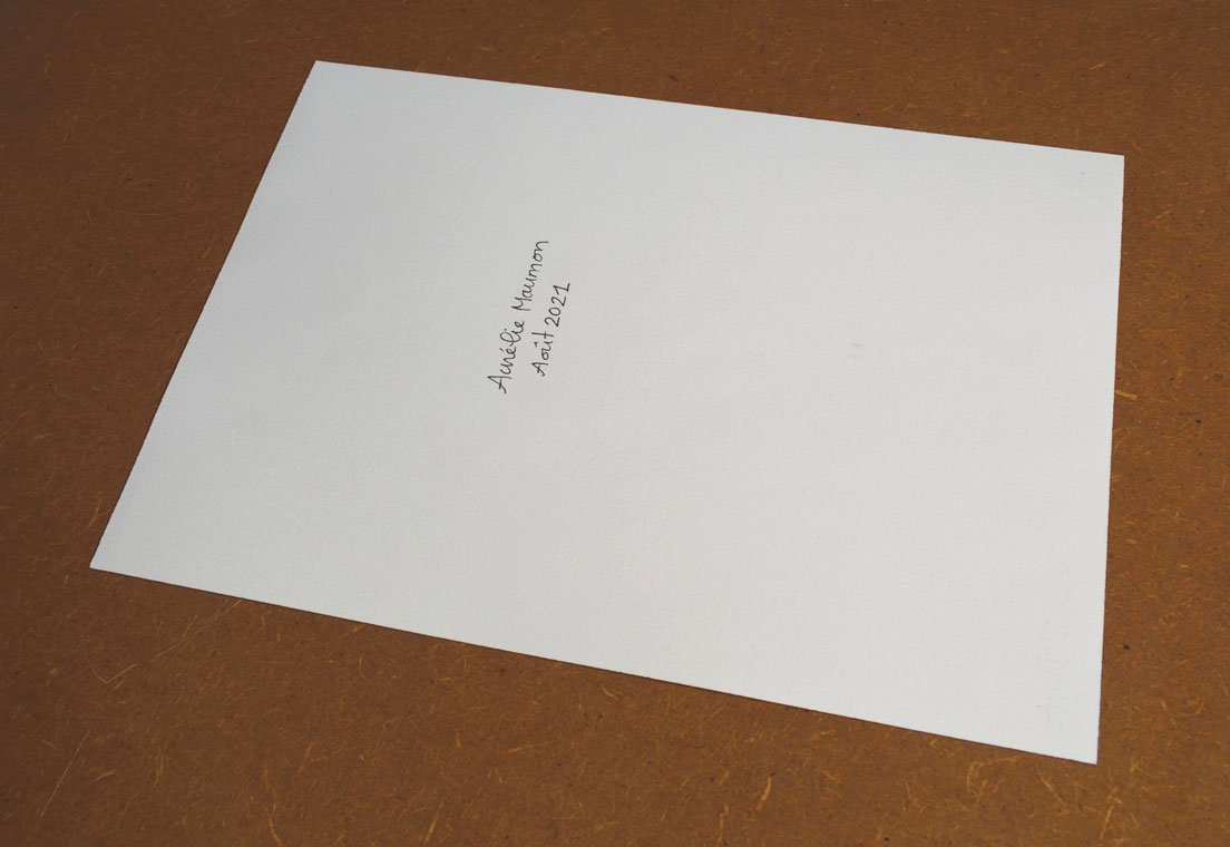 Un faon surpris verso Photo de l'oeuvvre "Un faon surpris". Vu du verso de la peinture avec la signature et la date.