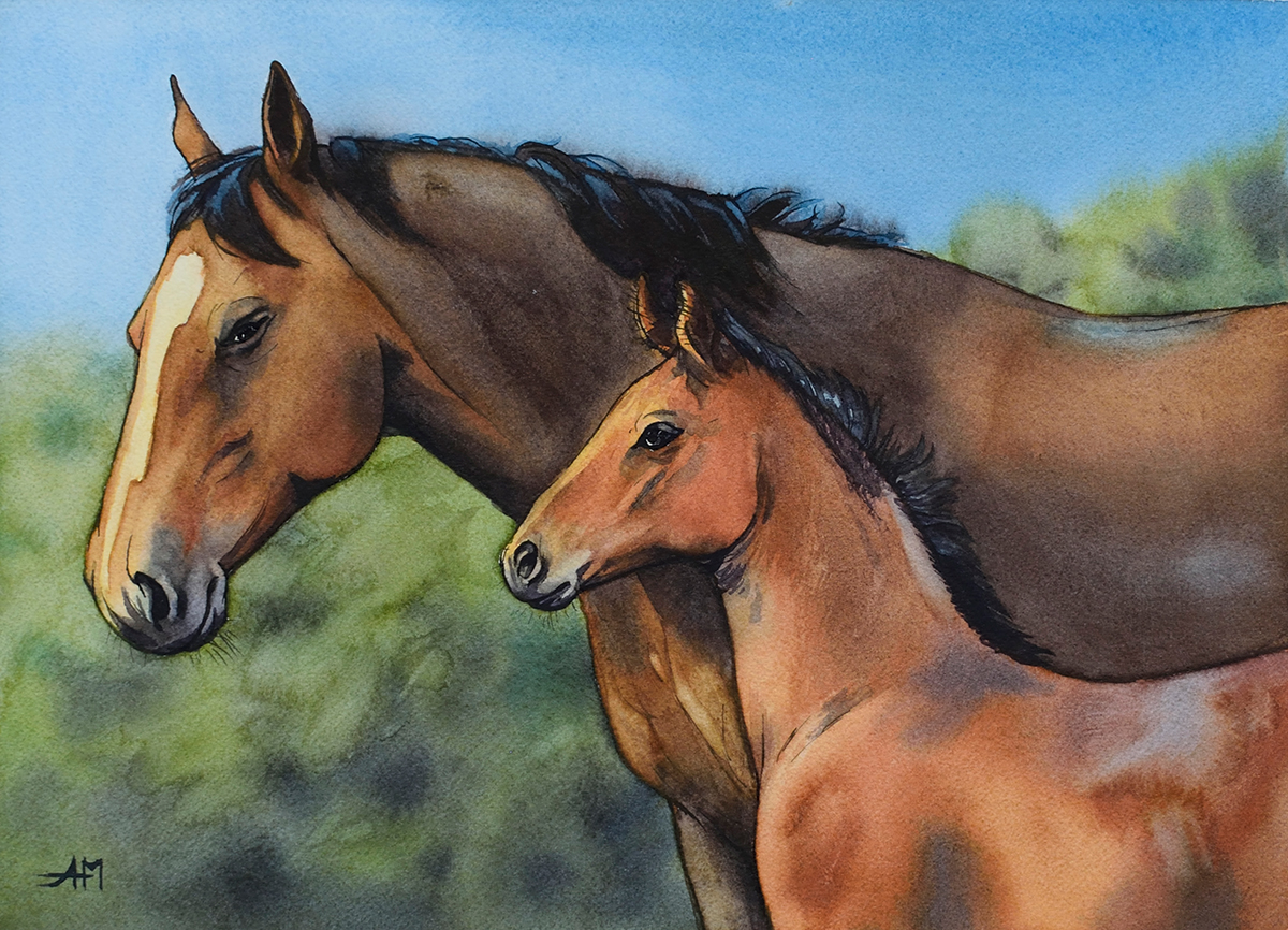 Photo de l'oeuvre "jument et poulain". Aquarelle de chevaux. Vue de la peinture en entier.