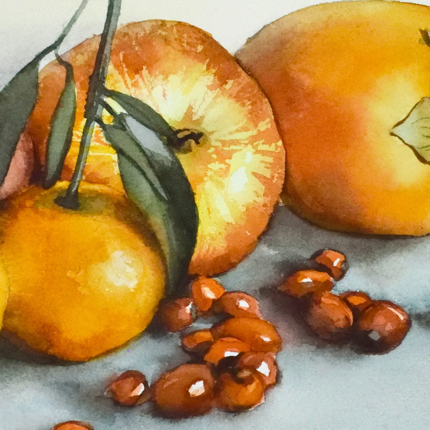 Photo de l'oeuvre "fruits de novembre". Vue d'un détail. Aquarelle représentant des fruits: clémentines, pommes, cynorrhodons (gratte-cul) et un kaki.