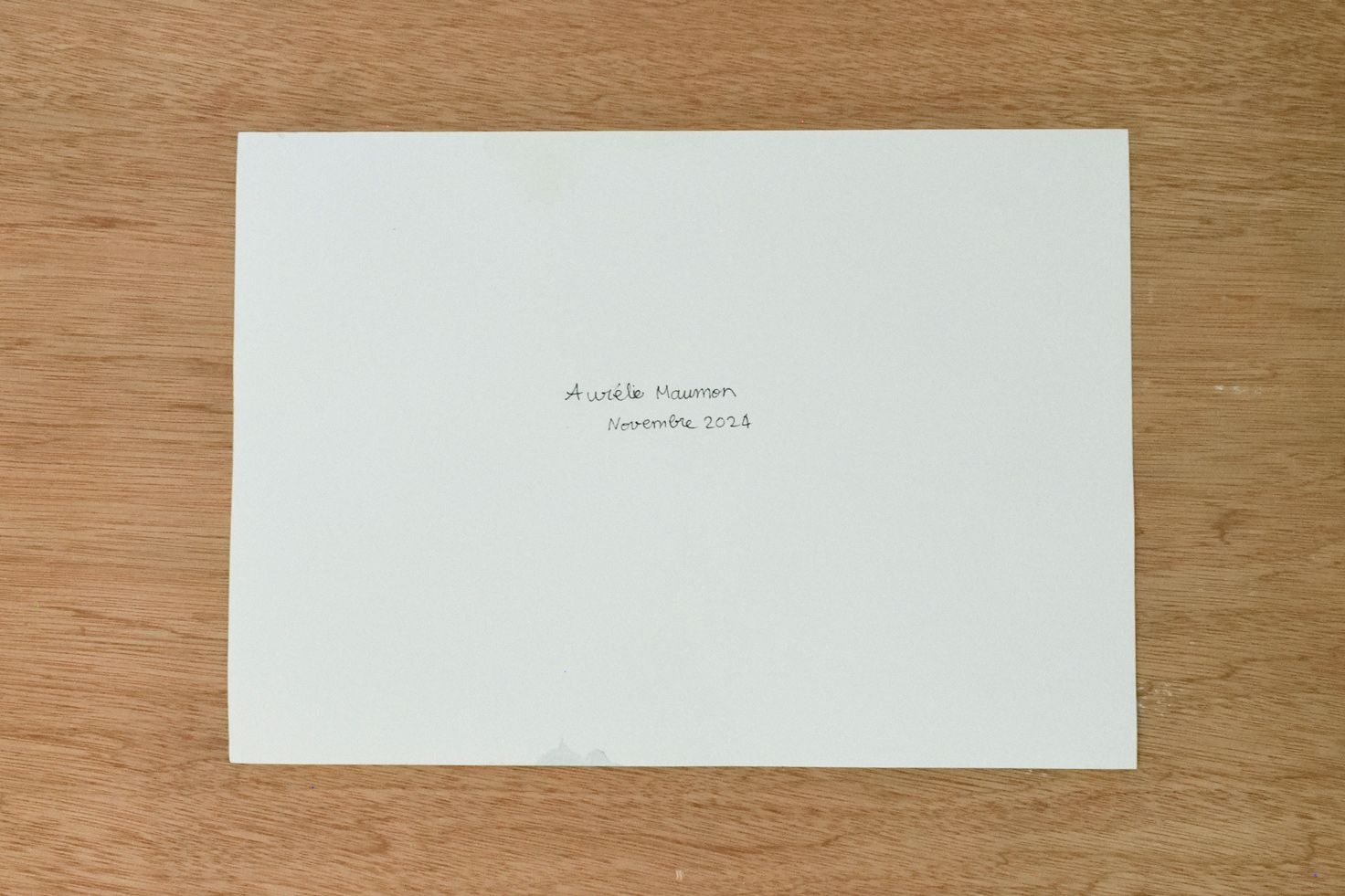 Photo de l'oeuvre "fruits de novembre". Photo du verso avec la contre-signature et la date.