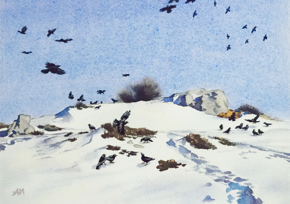 Photo de l'oeuvre "La nuée de la liberté". Aquarelle animalière. Vue d'un détail de la peinture.