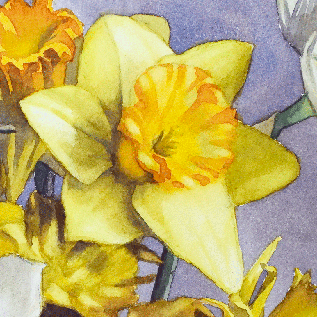 Une jonquille jaune peinte à l'aquarelle. Elle est entourée d'autres jonquilles.