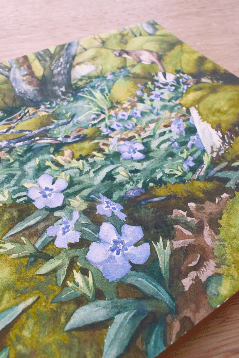 Détail de l'oeuvre "Parmi les roches de velours".