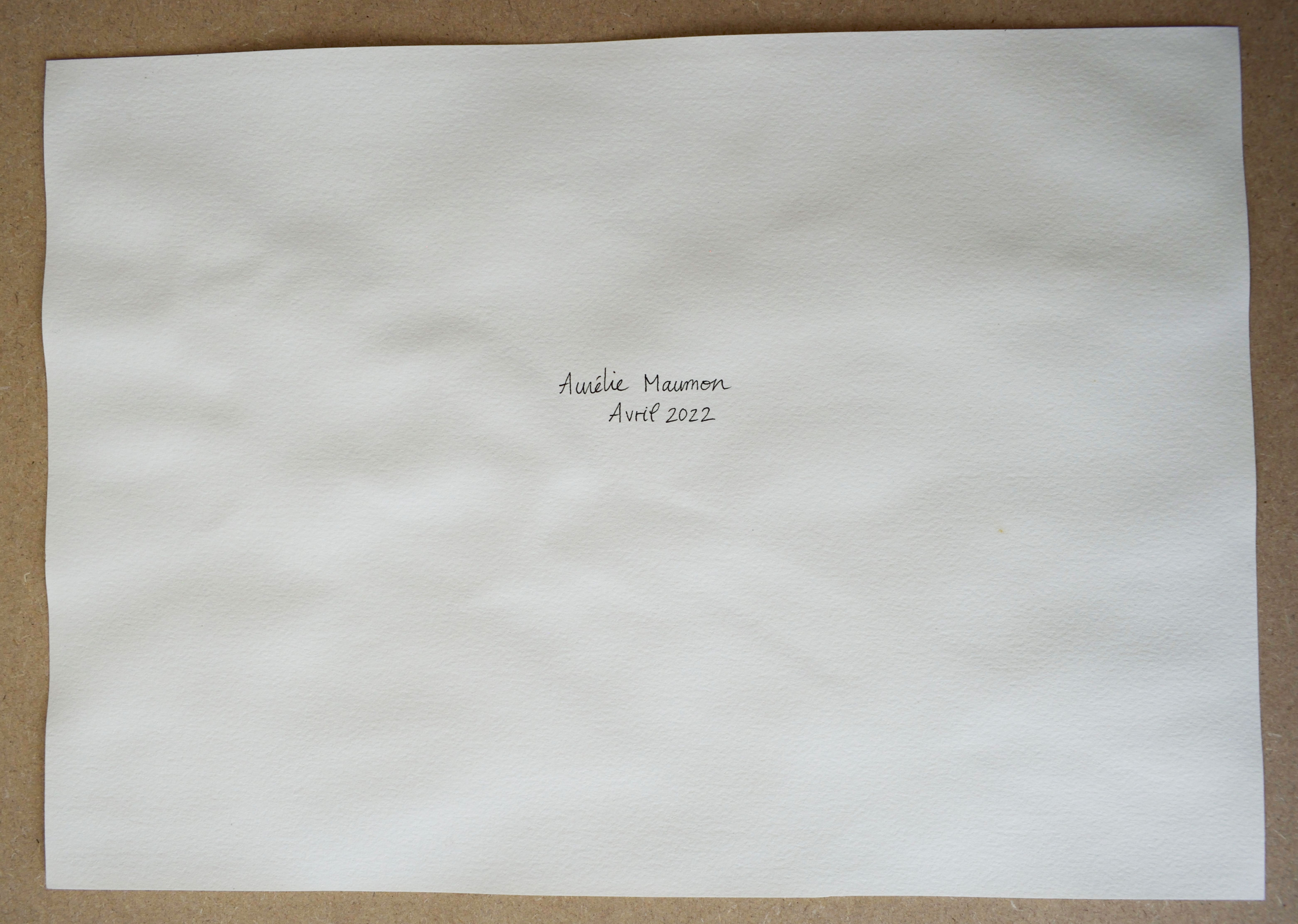 Arrière de l'oeuvre "Les plumes du faisan" mentionnant le titre, la date et la signature de l'artiste.