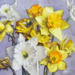Bourdonner Dans les Jonquilles