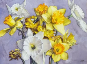 Bourdonner Dans les Jonquilles