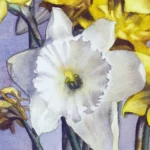 Bourdonner Dans les Jonquilles