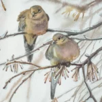 Deux Colombes Dans l&rsquo;Arbre Gelé