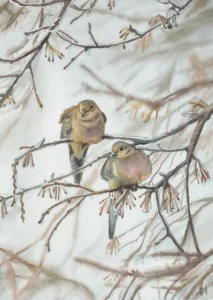 Deux Colombes Dans l'Arbre Gelé