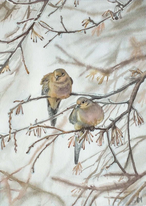 Deux Colombes Dans l&rsquo;Arbre Gelé