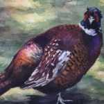Les Plumes du Faisan