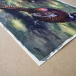 Les Plumes du Faisan